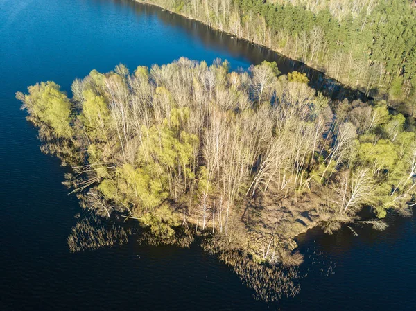 Una Isla Con Árboles Densos Lago Forestal Clima Soleado —  Fotos de Stock