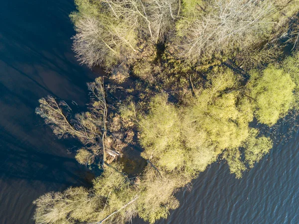 Orilla Lago Forestal Con Árboles Densos Agua Dro Aéreo —  Fotos de Stock