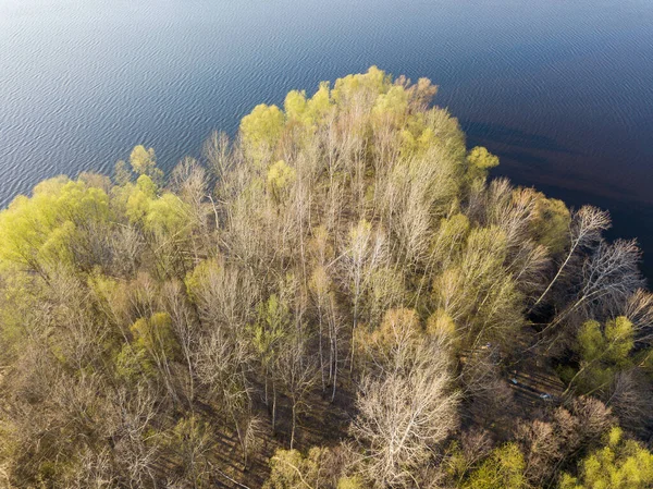 阳光普照的松林中湖畔 空中无人驾驶飞机 — 图库照片
