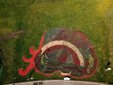 Hava aracı görüntüsü. Parktaki çiçek tarhı.