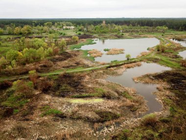 Hava görüntüsü. Ormandaki göl
