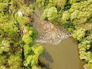 Hava görüntüsü. Ormandaki göl