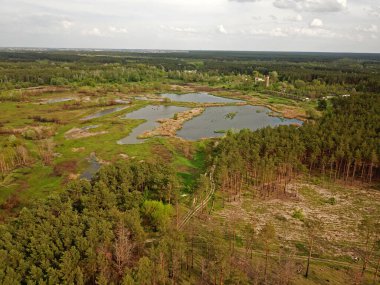 Hava görüntüsü. Ormandaki göl