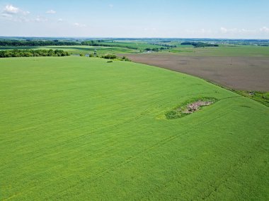 Hava görüntüsü. Yeşil tarım alanı
