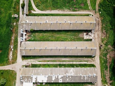 Hava görüntüsü. Ormandaki kümes hayvanları çiftliği. 