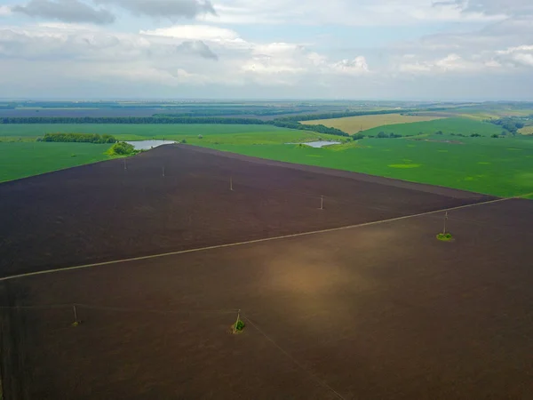 Aerial Drone View Smooth Geometric Borders Ukrainian Agricultural Fields Summer — Stock Photo, Image