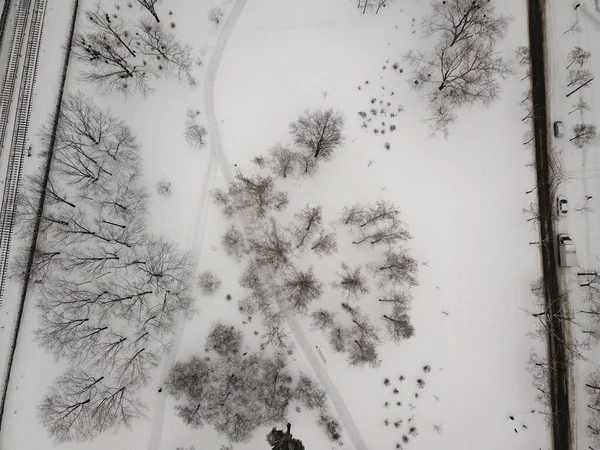 Drohnen Aus Der Luft Schöner Verschneiter Park — Stockfoto