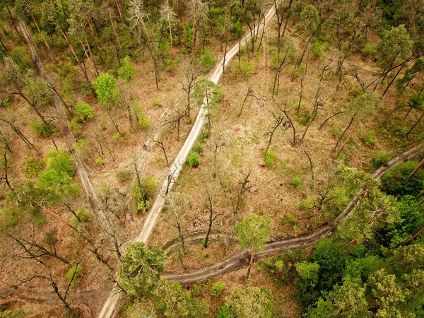 Bela Floresta Tempo Ensolarado Primavera Vista Aérea Drones — Fotografia de Stock