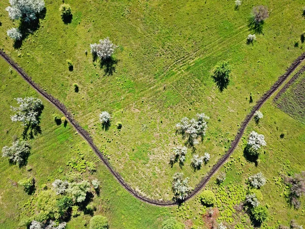 空中展望 緑の農地 — ストック写真