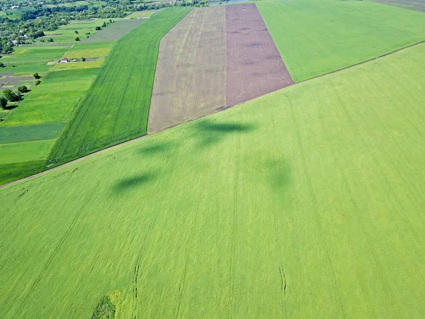 空中展望 緑の農地 — ストック写真