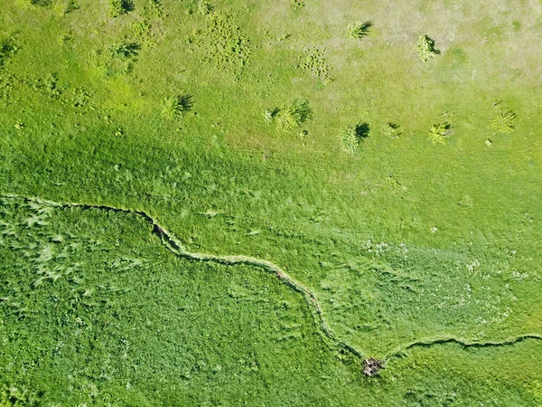 Vue Aérienne Champ Agricole Vert — Photo