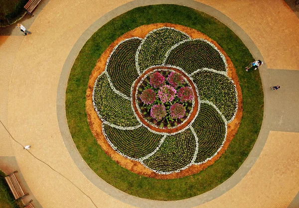 空中无人驾驶飞机视图 公园里的花坛 — 图库照片