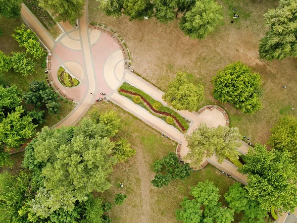 Veduta Aerea Del Drone Aiuola Nel Parco — Foto Stock