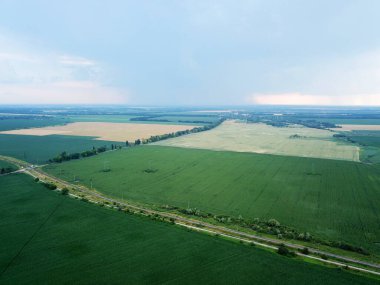 Yeşil tarım alanlarının havadan görünüşü