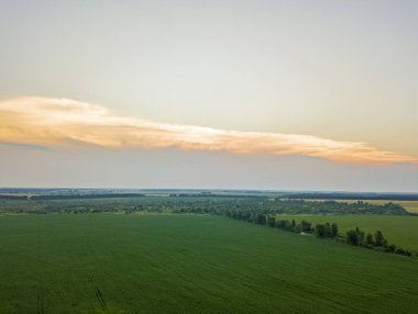 Yeşil tarım alanlarının havadan görünüşü