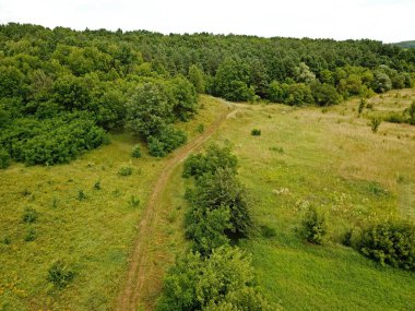 Hava görüntüsü. Yeşil çayır. Çayırın kenarındaki çalılar