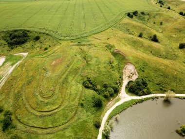 Hava görüntüsü. Yeşil tarım alanı