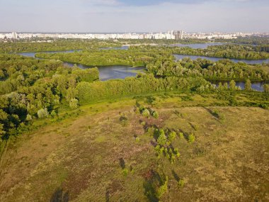 Baharda Kyiv 'deki parkta yeşil ağaçlar. Hava aracı görünümü