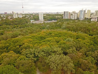 Şehrin varoşlarındaki yaprak döken orman. Hava aracı görünümü