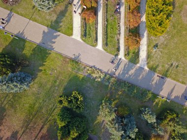 Hava görüntüsü. Sonbahar parkındaki patikalar