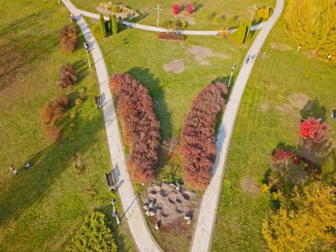 Hava görüntüsü. Sonbahar parkındaki patikalar