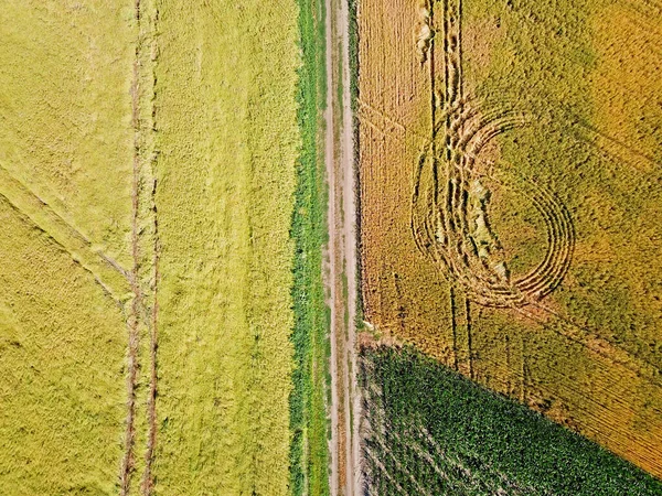 Vista Aérea Drones Fronteiras Geométricas Suaves Dos Campos Agrícolas Ucranianos — Fotografia de Stock
