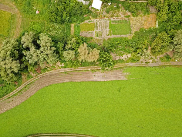 Flygfoto Grönt Jordbruksområde — Stockfoto