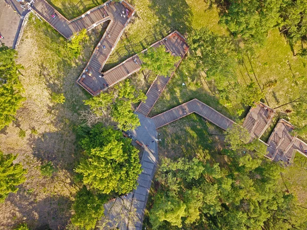 Vista Aérea Del Dron Senderos Del Parque — Foto de Stock