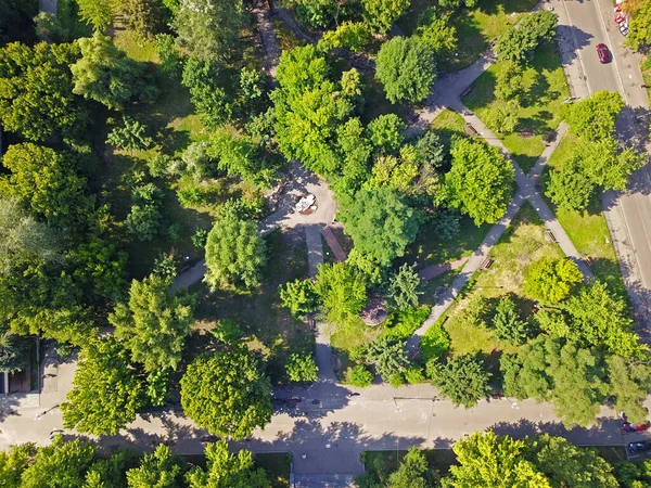Alberi Verdi Primavera Parco Kiev Vista Aerea Drone — Foto Stock