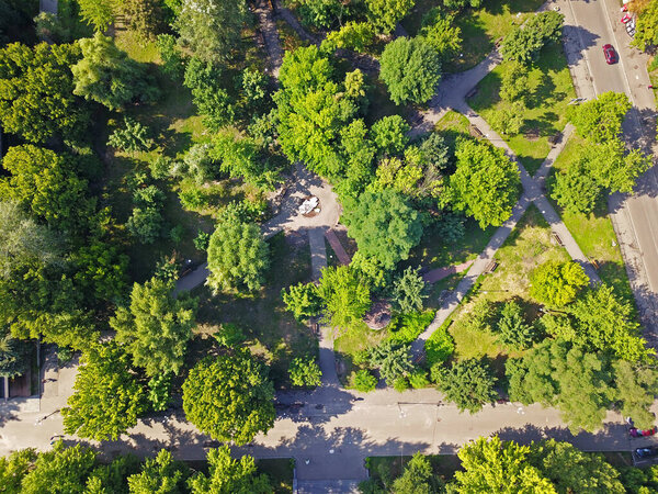 Green trees in spring in park in Kyiv. Aerial drone view