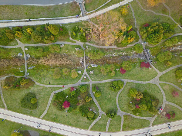 Aerial view. Footpaths in the autumn park