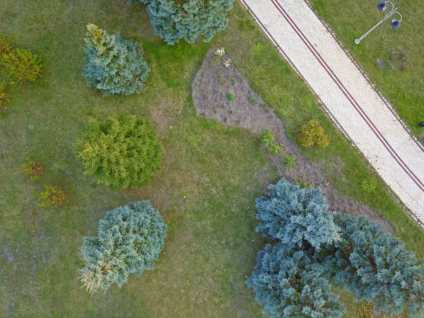 Légi Drón Felülnézetből Park Ősszel — Stock Fotó