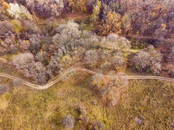 Bovenaanzicht Van Luchtdrone Park Herfst — Stockfoto