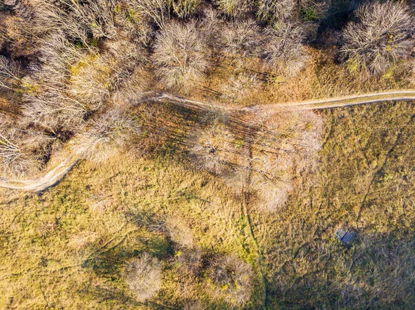 Aerial drone top view. Park in early spring