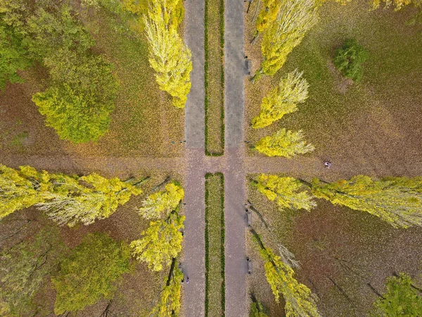 Bovenaanzicht Van Luchtdrone Park Het Vroege Voorjaar — Stockfoto