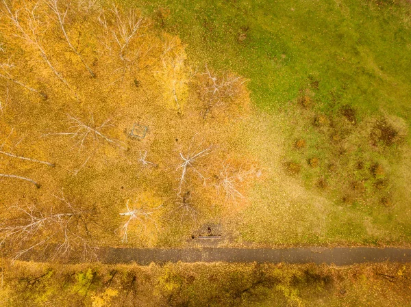Légi Felvétel Séta Őszi Parkban — Stock Fotó