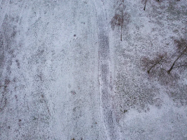 Luchtfoto Voetgangersweg Het Park Bomen Struiken Zijn Bedekt Met Sneeuw — Stockfoto