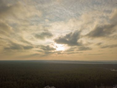 Baharda gün batımında kozalaklı orman. Hava aracı görünümü
