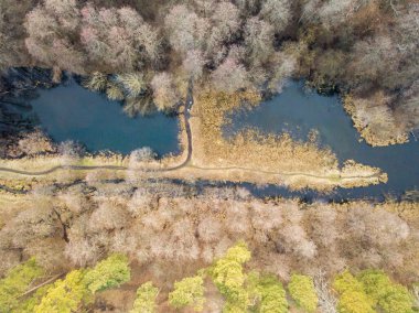 Şehrin varoşlarındaki ormanda bir göl. Hava görünümü