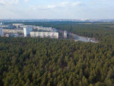 Bahar günü şehrin kenar mahallelerindeki kozalaklı ormanlar. Hava aracı görünümü