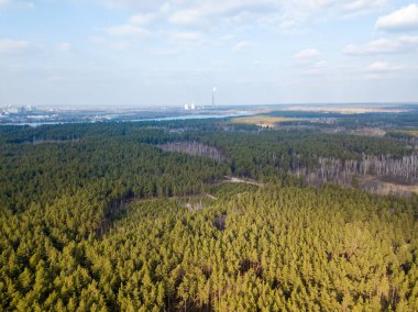 Güzel orman. Hava aracı görünümü.