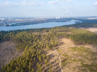 Bahar günü şehrin kenar mahallelerindeki kozalaklı ormanlar. Hava aracı görünümü