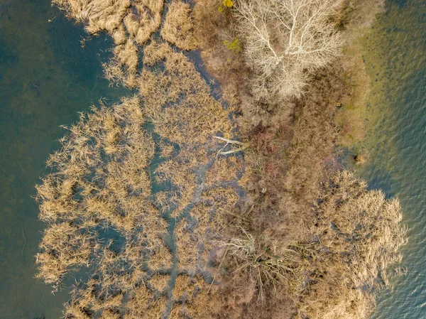 Flygdrönare Gräsbevuxen Strand Liten Vid Floden Kiev Slutet Hösten Torrt — Stockfoto