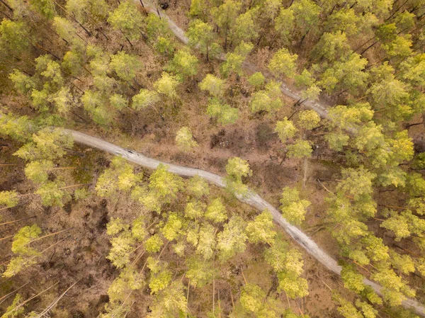 Bela Floresta Primavera Vista Aérea Drones — Fotografia de Stock