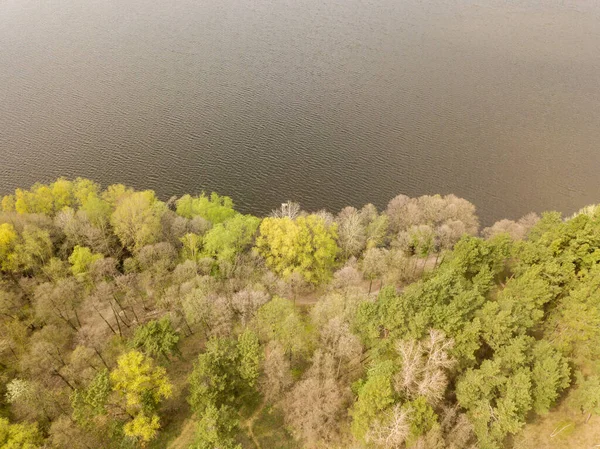Costa Lago Florestal Vista Aérea Drones — Fotografia de Stock