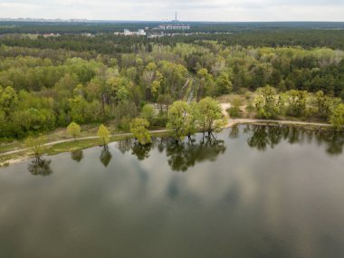 Bir bahar günü bir orman gölünün kıyısında. Hava aracı görünümü.
