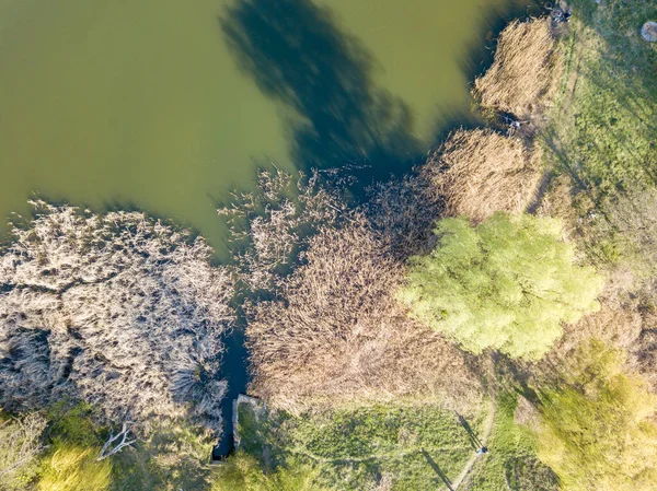 Pobřeží Lesního Jezera Jarního Dne Zobrazení Leteckých Dronů — Stock fotografie