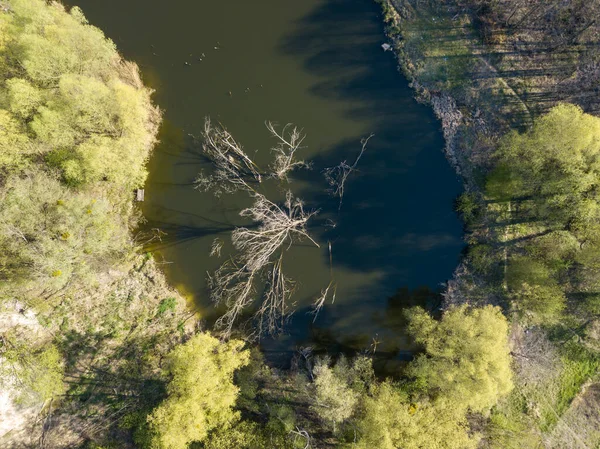Forest Lake Spring Day Aerial Drone View — Stock Photo, Image