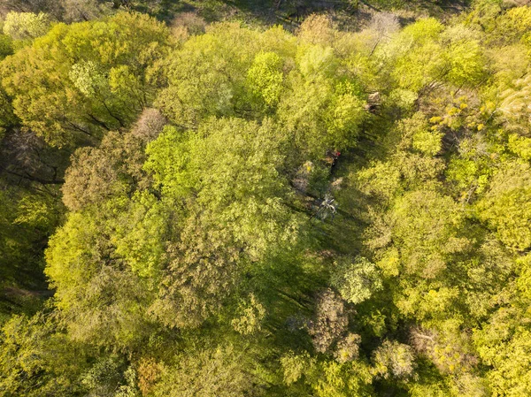 Aerial Drone View Deciduous Forest Spring Sunny Day — Stock Photo, Image