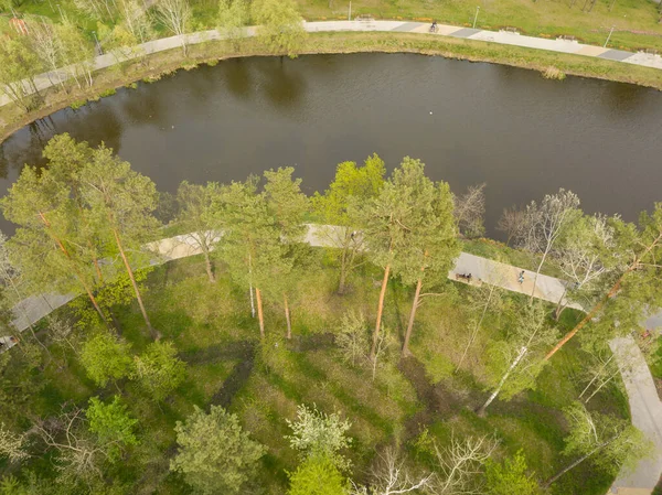 Ruisseau Dans Parc Parmi Les Arbres Vue Aérienne Drone — Photo